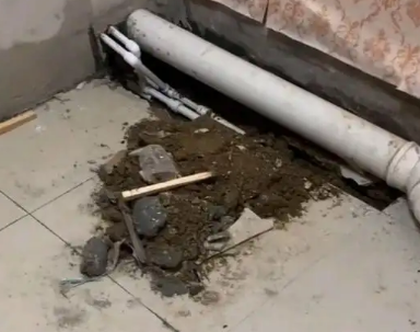 韶关市卫生间漏水检测哪家好